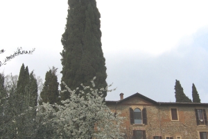 citerna_casa di preghiera betel (20)