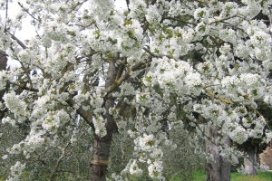 citerna_casa di preghiera betel (22)