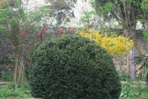 citerna_casa di preghiera betel (27)