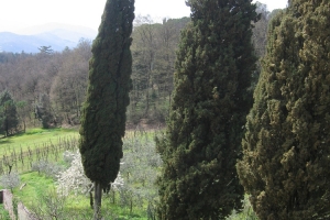 citerna_casa di preghiera betel (30)