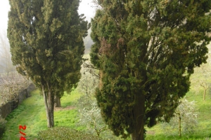 citerna_casa di preghiera betel (39)
