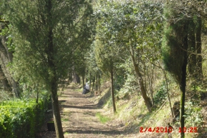 citerna_casa di preghiera betel (42)